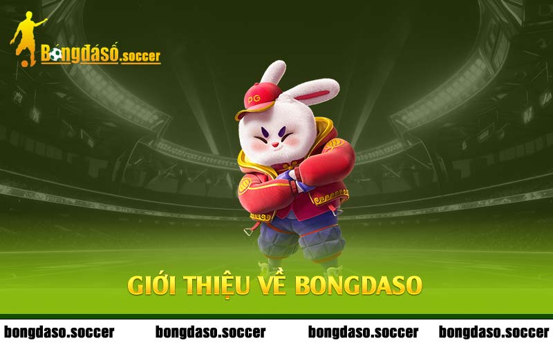 Giới thiệu về Bongdaso